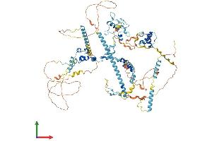 AlphaFold protein structure predicition of Human Recombinant SF3B2 Protein, UniprotID Q13435