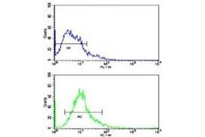 Flow cytometric analysis of Y79 cells using Beclin antibody (bottom histogram) compared to a negative control (top histogram). (Beclin 1 抗体  (AA 210-239))