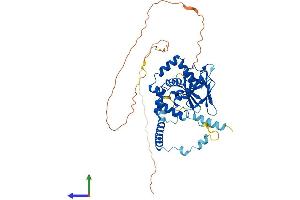 Protein Structure (PS) image for Microspherule Protein 1 (MCRS1) (AA 1-462) protein (His tag) (ABIN7560355)