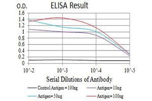 Black line: Control Antigen (100 ng),Purple line: Antigen (10 ng), Blue line: Antigen (50 ng), Red line:Antigen (100 ng) (CHRNA4 抗体  (AA 29-242))
