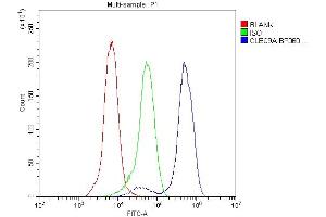 Flow Cytometry analysis of Jurkat cells using anti-CLEC9A antibody (ABIN6719546).