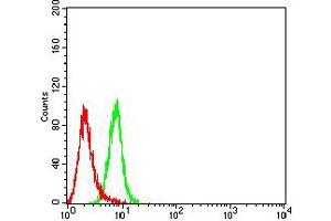 Flow cytometric analysis of Hela cells using BTLA mouse mAb (green) and negative control (red). (BTLA 抗体  (AA 31-157))
