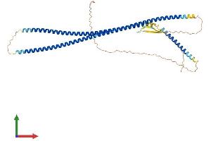 AlphaFold protein structure predicition of Mouse Recombinant Krt26 Protein, UniprotID Q3TRJ4
