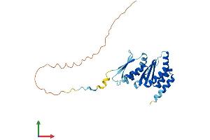 AlphaFold protein structure predicition of Human Recombinant PNO1 Protein, UniprotID Q9NRX1