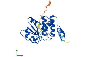Protein Structure (PS) image for Dual Specificity Phosphatase 18 (DUSP18) (AA 1-188) protein (His tag) (ABIN7547244)