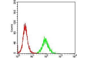 Flow Cytometry (FACS) image for anti-Cyclin E1 (CCNE1) (AA 307-410) antibody (ABIN2682980)