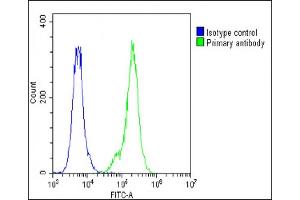 Flow Cytometry (FACS) image for anti-Surfactant Protein C (SFTPC) (AA 1-30), (N-Term) antibody (ABIN656267)