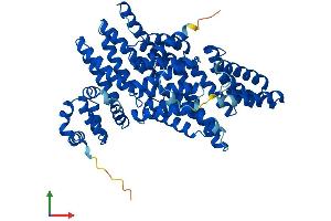 Protein Structure (PS) image for Amyloid beta Precursor Protein (Cytoplasmic Tail) Binding Protein 2 (APPBP2) (AA 1-585) protein (His tag) (ABIN7552312)