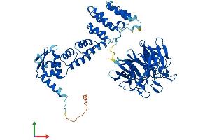 Protein Structure (PS) image for Kelch-Like 3 (KLHL3) (AA 1-587) protein (His tag) (ABIN7548790)