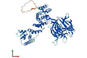 Protein Structure (PS) image for Kelch Repeat and BTB (POZ) Domain Containing 5 (KBTBD5) (AA 1-621) protein (His tag) (ABIN7561071)