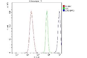Flow Cytometry analysis of U20S cells using anti-Emerin antibody (ABIN4886569).