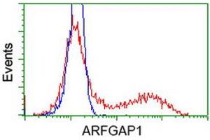 Flow Cytometry (FACS) image for anti-ADP-Ribosylation Factor GTPase Activating Protein 1 (ARFGAP1) antibody (ABIN1496683) (ARFGAP1 抗体)