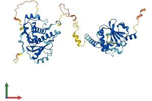 Protein Structure (PS) image for Ganglioside-Induced Differentiation-Associated-Protein 2 (GDAP2) (AA 1-497) protein (His tag) (ABIN7547971)
