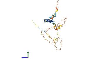 AlphaFold protein structure predicition of Human Recombinant LURAP1 Protein, UniprotID Q96LR2