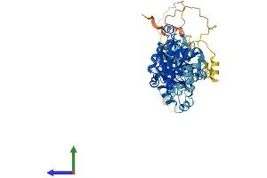 Protein Structure (PS) image for Ganglioside-Induced Differentiation-Associated-Protein 2 (GDAP2) (AA 1-497) protein (His tag) (ABIN7547971)