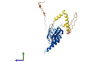 Protein Structure (PS) image for Ankyrin Repeat, Family A (RFXANK-Like), 2 (ANKRA2) (AA 1-312) protein (His tag) (ABIN7560455)