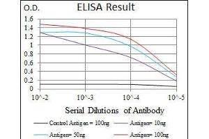 Black line: Control Antigen (100 ng), Purple line: Antigen(10 ng), Blue line: Antigen (50 ng), Red line: Antigen (100 ng), (CD166 抗体  (AA 405-524))