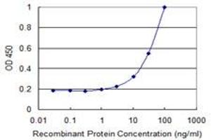 Detection limit for recombinant GST tagged MMRN1 is 1 ng/ml as a capture antibody. (Multimerin 1 抗体  (AA 291-390))