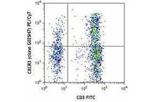 Flow Cytometry (FACS) image for anti-Chemokine (C-X-C Motif) Receptor 3 (CXCR3) antibody (PE-Cy7) (ABIN2659136) (CXCR3 抗体  (PE-Cy7))