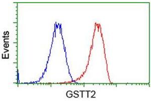 Flow cytometric Analysis of Hela cells, using anti-GSTT2 antibody (ABIN2453094), (Red), compared to a nonspecific negative control antibody (TA50011), (Blue). (GSTT2 抗体)