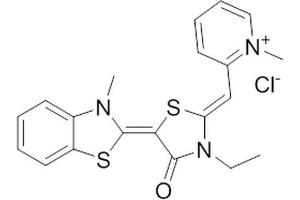 Chemical structure of YM-01 , a Hsp70 Inhibitor.