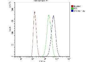 Flow Cytometry analysis of U87 cells using anti-DR5 antibody (ABIN5518794).