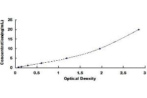 Typical standard curve (SLC25A20 ELISA 试剂盒)