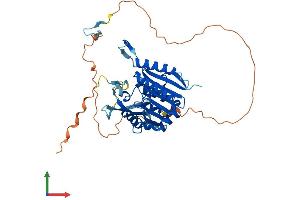Protein Structure (PS) image for Methyltransferase Like 22 (METTL22) (AA 1-404) protein (His tag) (ABIN7549400)