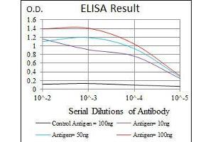 Black line: Control Antigen (100 ng), Purple line: Antigen(10 ng), Blue line: Antigen (50 ng), Red line: Antigen (100 ng), (RAG1 抗体  (AA 818-868))