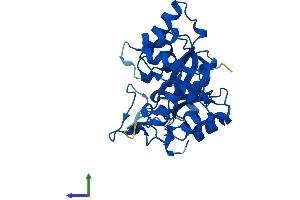 Protein Structure (PS) image for Aldo-Keto Reductase Family 1, Member E2 (AKR1E2) (AA 1-301) protein (His tag) (ABIN7561353)