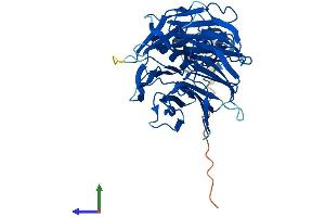 Protein Structure (PS) image for F-Box and WD Repeat Domain Containing 4 (FBXW4) (AA 1-410) protein (His tag) (ABIN7561716)