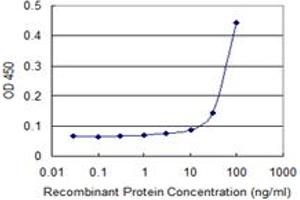 Detection limit for recombinant GST tagged FIBP is 10 ng/ml as a capture antibody. (FIBP 抗体  (AA 1-357))