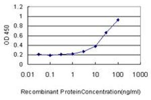 Detection limit for recombinant GST tagged GBA is approximately 1ng/ml as a capture antibody. (GBA 抗体  (AA 146-235))