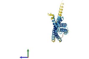 Protein Structure (PS) image for Glycoprotein M6B (GPM6B) (AA 1-265) protein (His tag) (ABIN7548058)