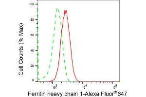 Flow cytometric analysis of Ferritin heavy chain 1 expression in HepG2 cells using Ferritin heavy chain 1 antibody (ABIN7798596), 1:2,000).