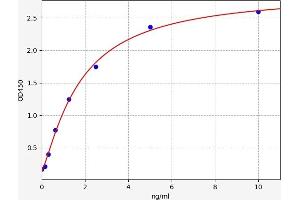 Typical standard curve (Kallikrein 5 ELISA 试剂盒)