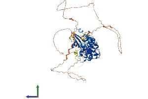 Protein Structure (PS) image for Male Germ Cell-Associated Kinase (MAK) (AA 1-622) protein (His tag) (ABIN7556888)