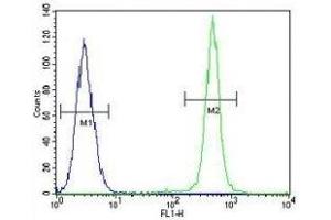 IGF1 antibody flow cytometric analysis of A549 cells (green) compared to a negative control cell (blue). (IGF1 抗体  (AA 115-144))