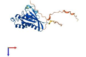Protein Structure (PS) image for RAB33B, Member RAS Oncogene Family (RAB33B) (AA 1-229) protein (His tag) (ABIN7551233)
