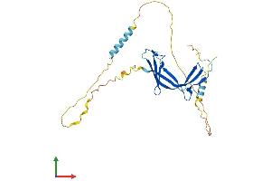 AlphaFold protein structure predicition of Human Recombinant EAF1 Protein, UniprotID Q96JC9 (EAF1 Protein (AA 1-268) (His tag))