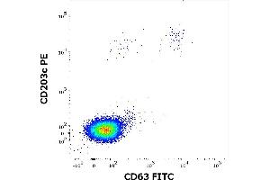 Flow cytometry dot-plot staining pattern of rAlt a 1 recombinant allergen stimulated human peripheral whole blood lymphocytes and basophils of a proven allergic donor stained using anti-human CD63 (MEM-259) FITC and anti-human CD203c (NP4D6) PE antibodies .