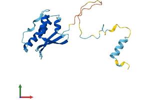 AlphaFold protein structure predicition of Human Recombinant SNX24 Protein, UniprotID Q9Y343