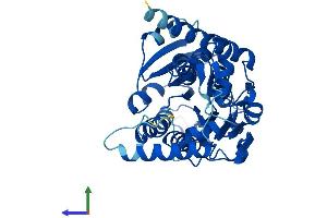 AlphaFold protein structure predicition of Mouse Recombinant Hsd3b5 Protein, UniprotID Q61694 (HSD3B5 Protein (AA 1-373) (His tag))