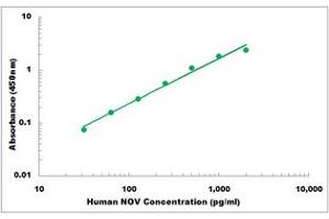 Representative Standard Curve (NOV ELISA 试剂盒)