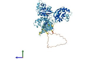Protein Structure (PS) image for Thioredoxin Domain Containing 3 (TXNDC3) (AA 1-588) protein (His tag) (ABIN7544825)