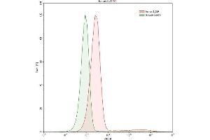 Detection of LDLR in HepG2 human hepatocellular carcinoma cell line using Polyclonal Antibody to Low Density Lipoprotein Receptor (LDLR) (LDLR 抗体  (AA 497-742))