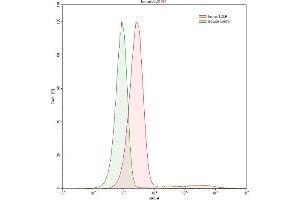 Detection of LDLR in HepG2 human hepatocellular carcinoma cell line using Polyclonal Antibody to Low Density Lipoprotein Receptor (LDLR) (LDLR 抗体  (AA 497-742))