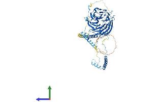 Protein Structure (PS) image for Dynein, Axonemal, Intermediate Chain 2 (DNAI2) (AA 1-623) protein (His tag) (ABIN7561889)