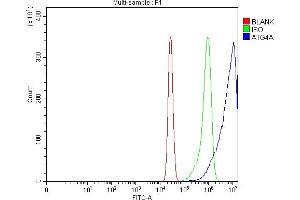 Flow Cytometry analysis of K562 cells using anti-ATG4A antibody (ABIN7599354). (ATG4A 抗体  (AA 1-398))