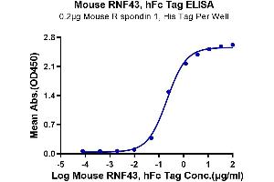 ELISA image for Ring Finger Protein 34 (RNF34) (AA 24-197) protein (Fc Tag) (ABIN7275520)